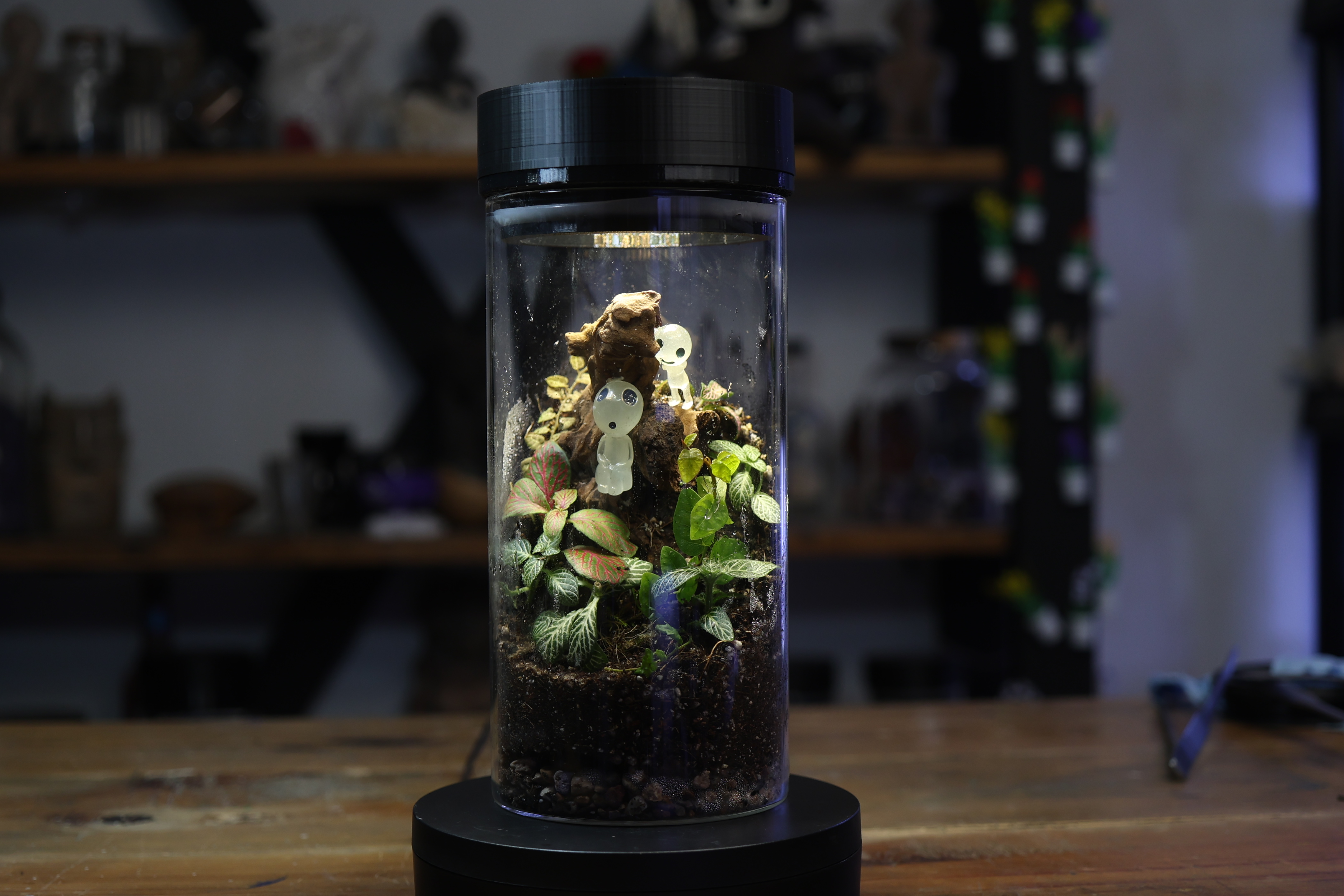 Fondo de plantas